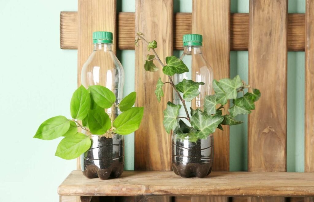 diy projects with plastic bottles