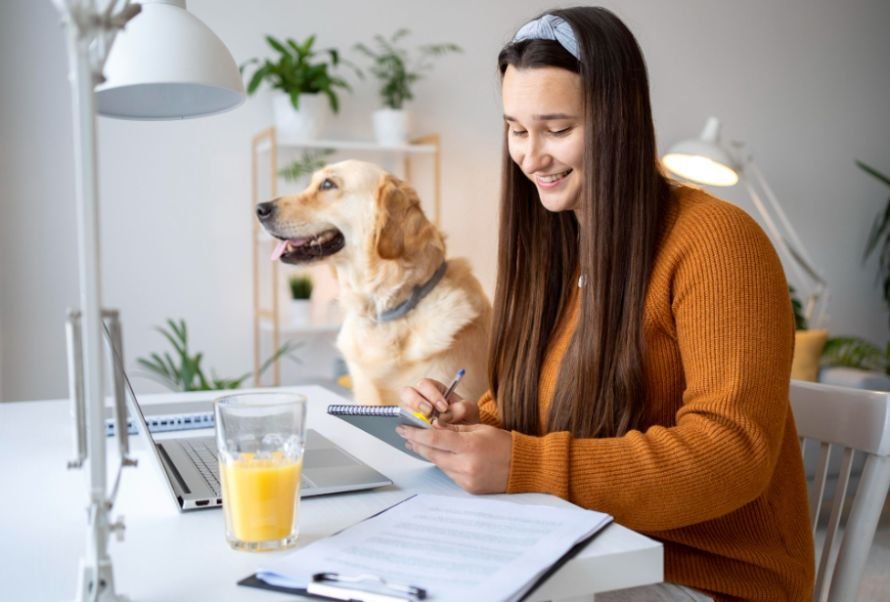 How Should I Build a Pet Emergency Fund Each Month
