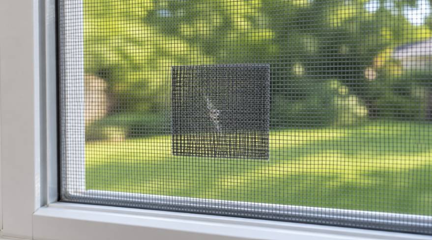 How to Repair Torn Window Screen with Patch Kit A Complete DIY Fix